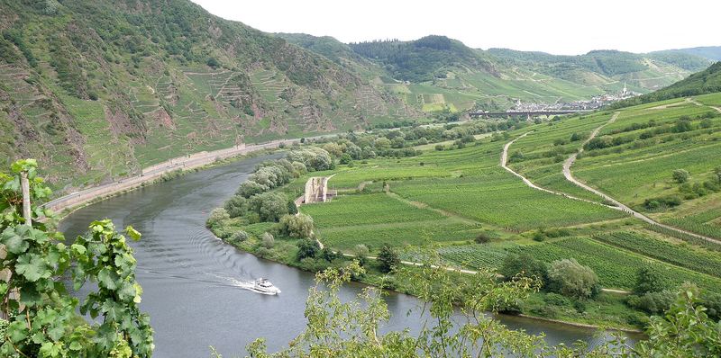 Moselschleife mit Weinbergen