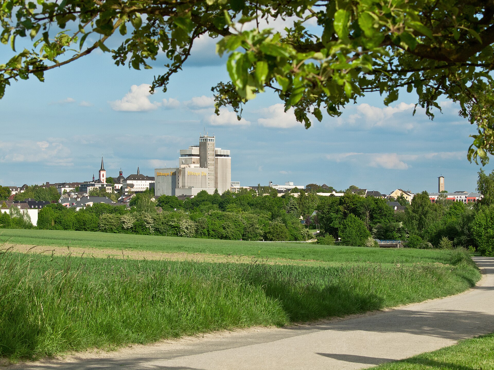 Betriebe in Eifel – Recruiting von Schmiede Digital